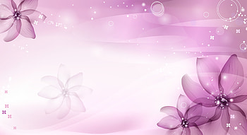 Texture, purple, bokeh, pink, flower, card, luminos HD wallpaper