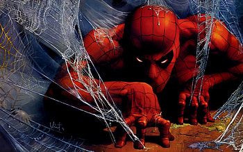 Spiderman Web 848940 HD wallpaper