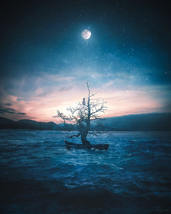 Art, Moon, Wood, Cat, Tree, Boat HD phone wallpaper