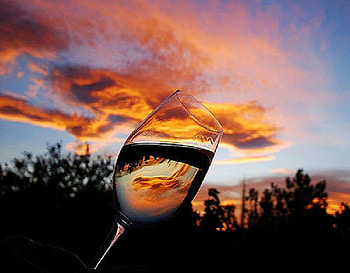 Toast to the sunset, coral color, reflection, toast, wine glass, clouds, trees, sunset HD wallpaper