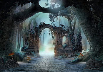 Welcome to the Other Side, afraid, forest, side, night, mare, other HD wallpaper