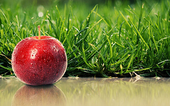 Food, Grass, Apple, Ripe HD wallpaper