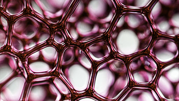 Water Bubbles Shapes Grid Blur Abstraction Abstract HD wallpaper