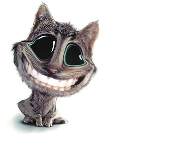 Smile an be Happy, cat, head, eyed, big, happy HD wallpaper