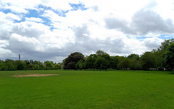 Nature, Trees, Grass, Field, Summer Landscape HD wallpaper