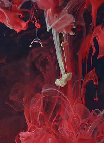 Macro, Paint, Liquid, Ink, Clot HD phone wallpaper