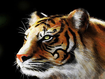 Pintura de Tigre, animal, cat, tiger, painting HD wallpaper