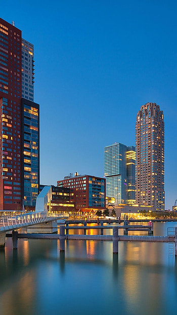Rotterdam , Cityscape , backgrounds, Rotterdam city HD phone wallpaper