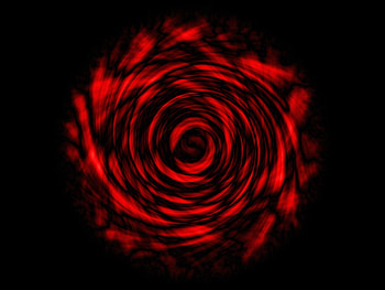 Rose, black, flower, love, red HD wallpaper