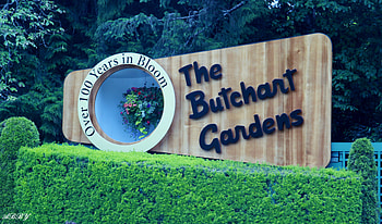 The Butchart Gardens in Victoria, graphy, Fields, green, Garden HD wallpaper