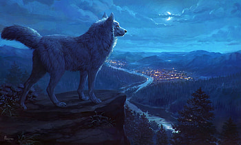 Night watch, alsares, art, fantasy, sky, luminos, wolf, lup, night, moon, luna HD wallpaper