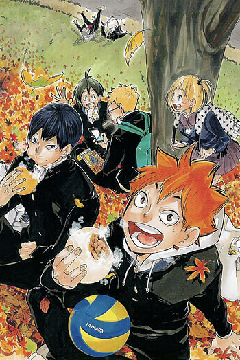 Haikyuu anime, Haikyuu manga, Anime series, Anime discussion HD phone wallpaper