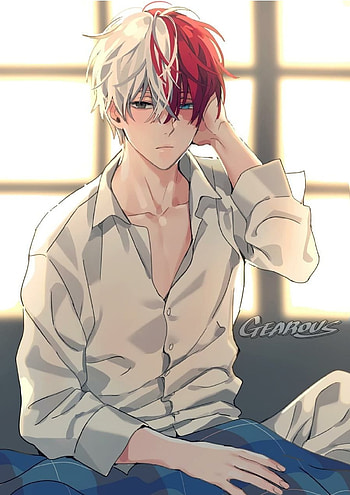 Shoto Todoroki, MHA, BNHA, my hero academia, anime HD phone wallpaper