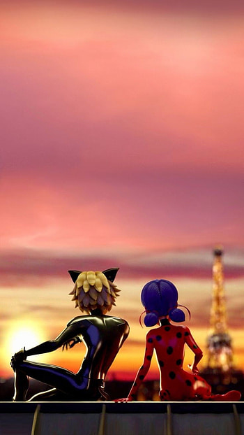 Miraculous, Ladybug, Cat noir HD phone wallpaper