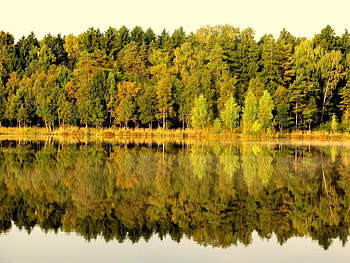 Landscape, Rivers, Trees HD wallpaper
