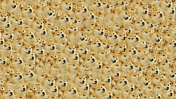 Doge in SPACE - Doge () (14011) HD wallpaper