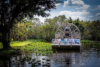 Everglades National Park, Safari park, Must-see attractions, Nearby sights HD wallpaper