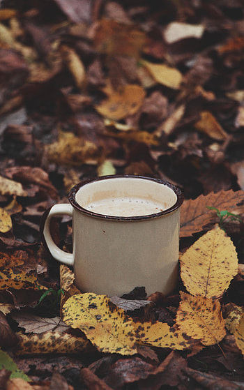 Leaves, Coffee, Miscellanea, Miscellaneous, Cup, Drink, Beverage, Mug HD phone wallpaper