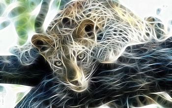 Animals, Fantasy, Tigers HD wallpaper