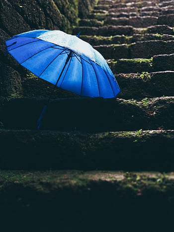 Vibrant blue umbrella rests on wet, moss-covered stone steps, reflecting rainy weather. HD phone wallpaper
