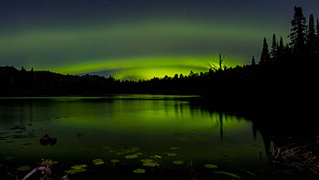 Beautiful Aurora Borealis Sky Trees Forest Reflection On Pond Water Dark Background Dark Background HD wallpaper