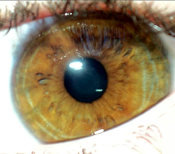 My eye, eye of a human, circles, human eye, eye HD wallpaper