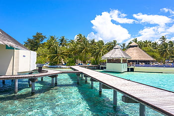 Explore tropical paradise with stunning overwater bungalows and crystal-clear waters in the Maldives. HD wallpaper