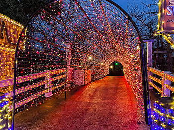 Christmas time, Twin Family Travels, Things to do, Branson Missouri HD wallpaper