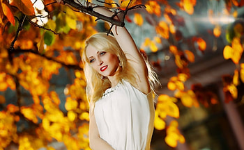 Blond Girl, girl, blond, woman, tree HD wallpaper