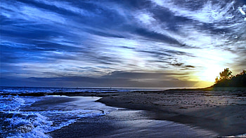 Sensation Breeze, blue, sea, sunlight, trees, sky, wave, beach HD wallpaper