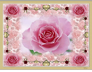 ROSES FOR CHARISMATIC., hearts, rose background, pink, roses HD wallpaper