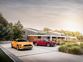 Ford Mustang GT Fastback And EcoBoost Convertible, ford-mustang, cars, 2017-cars HD wallpaper