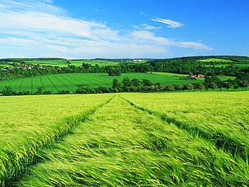 Spring HD wallpaper