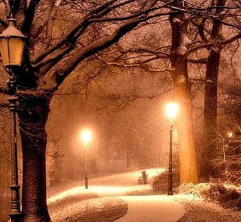 Winter Night, Winter, Nature, Night, Snow HD wallpaper