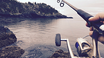 Fly fishing, Fishing HD wallpaper