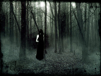 Discover the Secret, discover-the-secret HD wallpaper