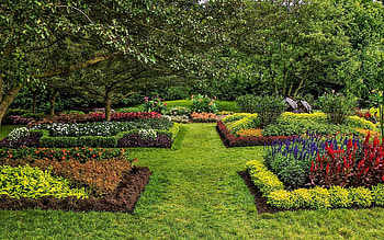 Nature, Grass, Bush, Usa, United States, Garden, Lawn, Longwood, Kenneth Square HD wallpaper