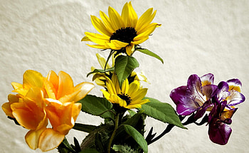 Flowers, Sunflowers, Bouquet, Irises HD wallpaper