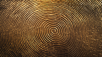 Intricate Fingerprint : A Unique Design for Your Screen, texture, pattern, Abstract, spiral HD wallpaper