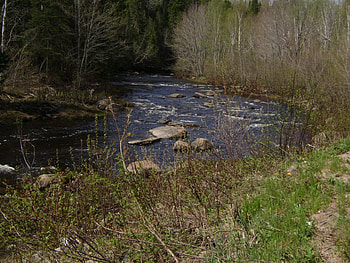 Untitle, trees, river, rock HD wallpaper