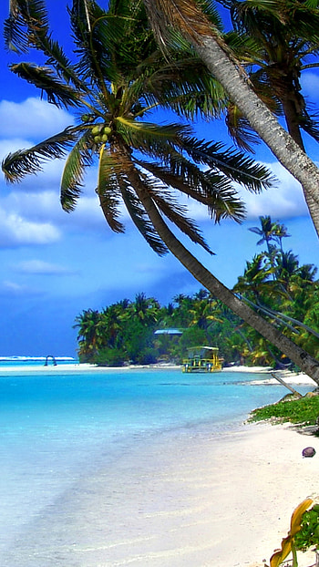 Cayman Islands, Travels, Beach on Cayman islands HD phone wallpaper