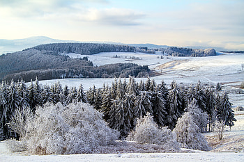 Nature, Snow, Forest, Germany, Poppenhausen HD wallpaper