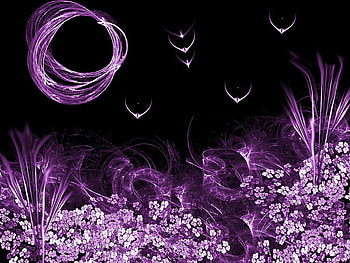 mid night magic , night, purple, magic, love, crazy HD wallpaper