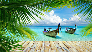 Thailand beach, Palm trees, Vacation paradise, Tropical escape HD wallpaper