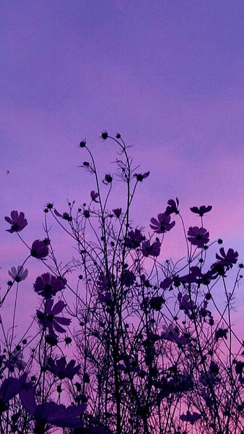 Purple Aesthetic, Purple Atmosphere HD phone wallpaper