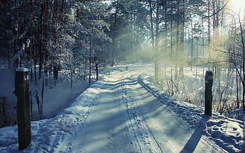 Landscape, Winter HD wallpaper