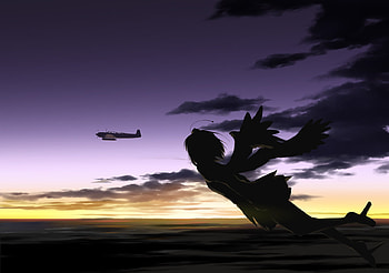 Shameimaru's Routine, wings, flying, girl, beautiful, dark, scenery, anime, aircraft, touhou, sky, shameimaru aya, sunset HD wallpaper