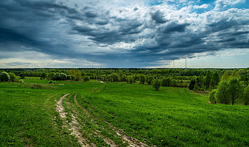 Nature, Grass, Sky, Clouds, Summer, Field HD wallpaper