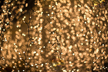 Fairy lights, Magical ambiance, Festive atmosphere, Stunning illumination HD wallpaper