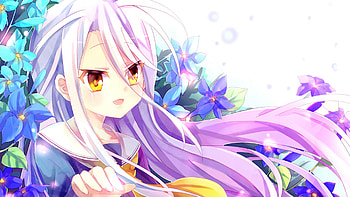 No Game No Life Anime Girl Shiro HD wallpaper
